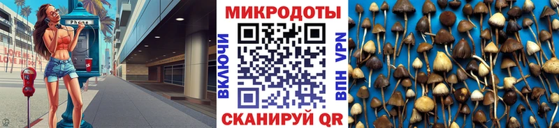 Купить где  Дзержинск  Галлюциногенные грибы GOLDEN TEACHER 